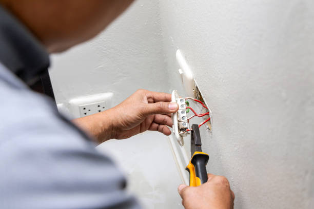 Best Ceiling Fan Installation Electrician  in Walker, MI